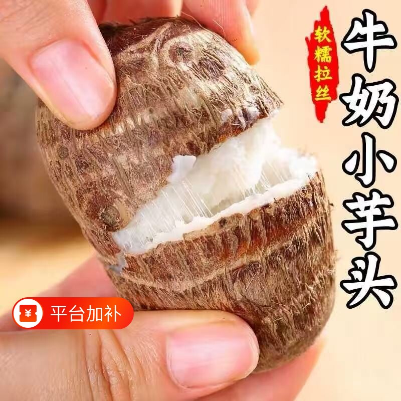 云南牛奶芋头小香芋新鲜现挖小毛软糯香滑芋艿现挖蔬菜竽头5斤装