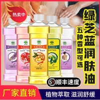 綠芝藍橄欖精油全身按摩足浴推油開背刮痧B(yǎng)B油美容院瑰橄欖潤膚油
