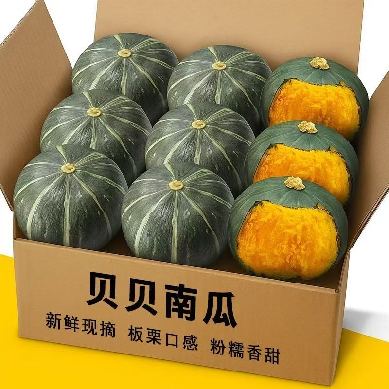 贝贝南瓜正宗板栗味板栗小南瓜婴儿辅食农家自种新鲜蔬菜粉糯香瓜