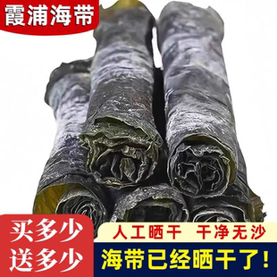 海带正宗福建无沙海带肉厚特级干货精选整条海带昆布批发商用