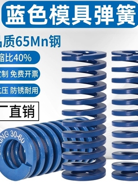 65Mn优质蓝色模具弹簧TL高强度压簧扁线压缩日标矩形弹簧DL轻负荷
