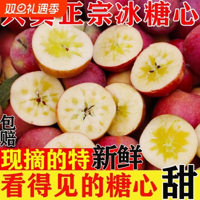 甘肃静宁苹果红富士丑苹果正宗冰糖心苹果新鲜水果当季现摘