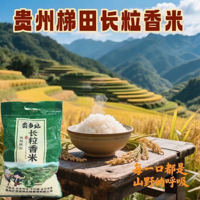 贵州梯田长粒香米优质谷种农家精选大米生态种植营养与美味兼得