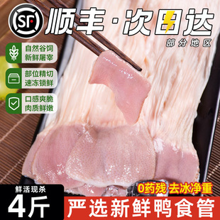 顺丰包邮鸭食管生冷冻鸭食带新鲜鸭板肠卤货鸭肚鸭腺胃鸭肠子各地