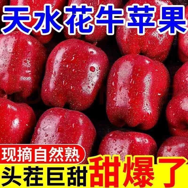 甘肃花牛沙沙香甜好吃不贵健康辅食新鲜红苹果蛇果不打蜡自然熟