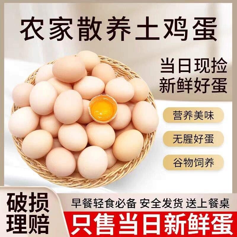农村散养谷物鸡蛋50枚新鲜柴鸡蛋笨鸡蛋初生蛋农家蛋现发送达客服