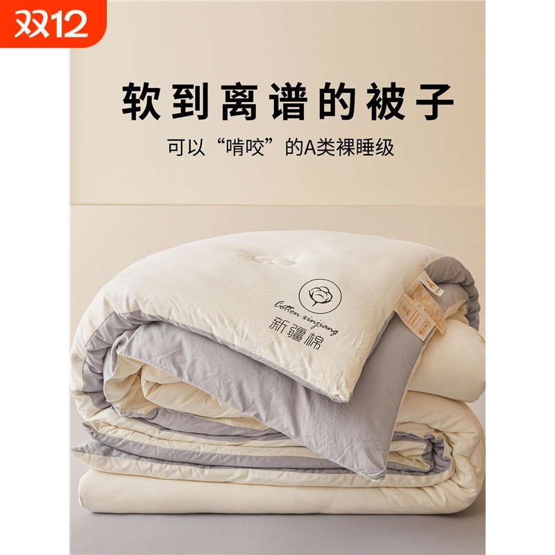 新疆纯棉全棉花冬被子加厚保暖棉被芯春秋单人夏凉空调被四季通用