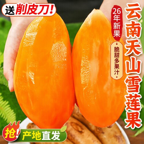 脆甜多汁雪莲果9斤箱装|千人加购