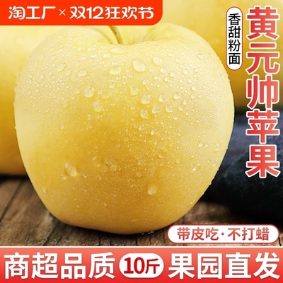 黄元帅黄金帅苹果宝宝刮泥粉面香甜元帅金冠苹果应季黄香蕉苹果
