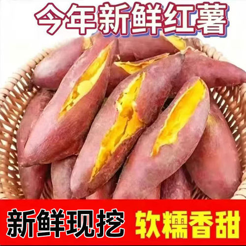 正宗蜜薯红薯沙地红心