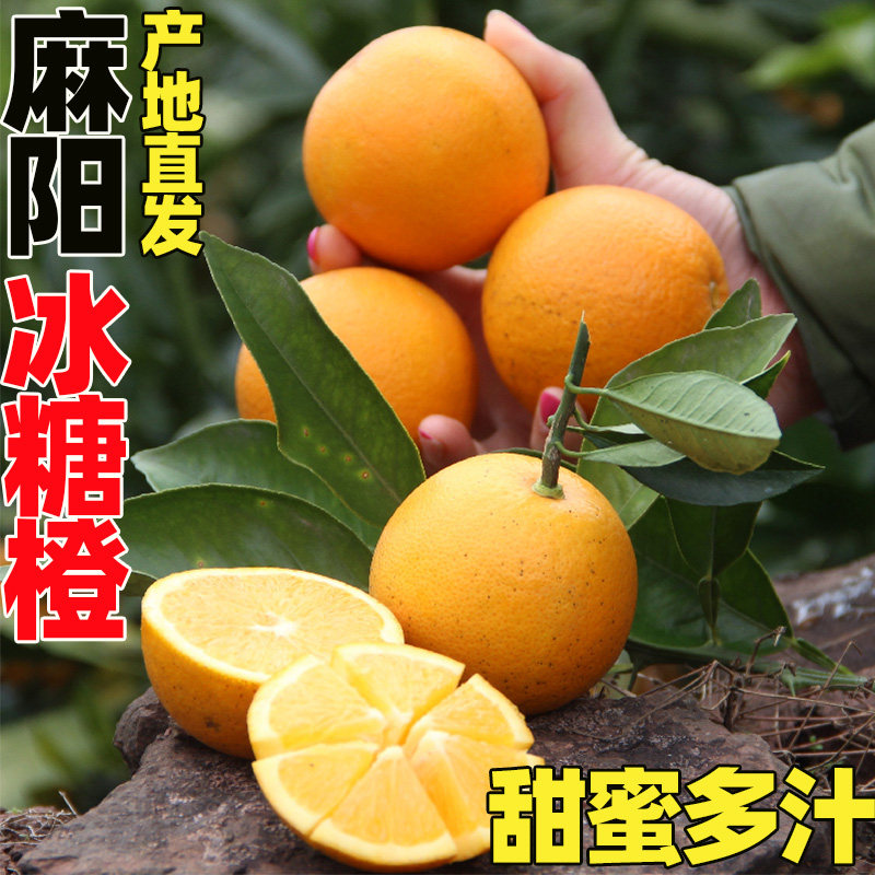 湖南麻阳冰糖橙鲜橙子当季时令手剥橙青黄皮水果手剥橙
