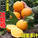湖南麻阳冰糖橙鲜橙子当季 时令手剥橙青黄皮水果手剥橙