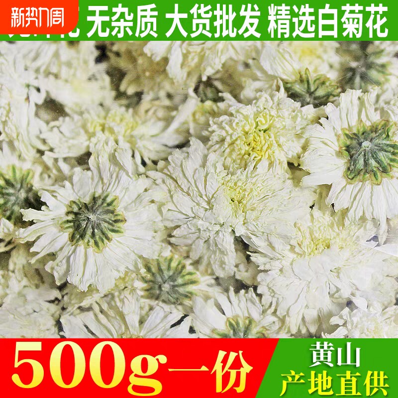 正宗黄山贡菊特级正品白菊花500g250g泡水产地直销散装菊花茶