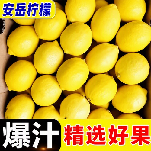 四川安岳当季现摘新鲜黄柠檬