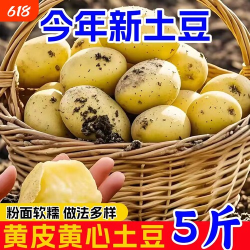 农家自种新鲜小土豆高山