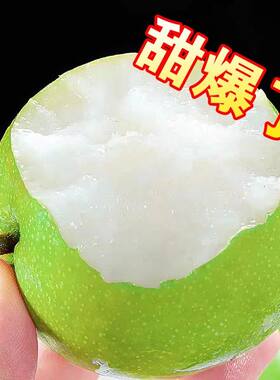 2026年新梨砀山梨皇冠梨青皮蜜梨