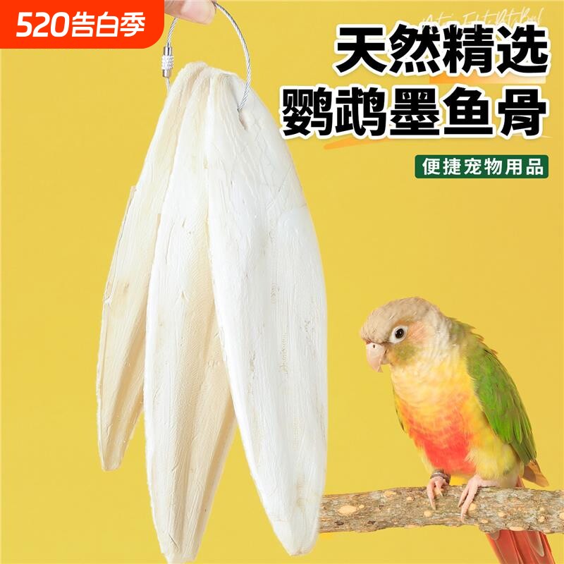 小太阳墨鱼骨鹦鹉专用磨牙棒玄凤牡丹虎皮解闷玩具零食乌贼骨大块