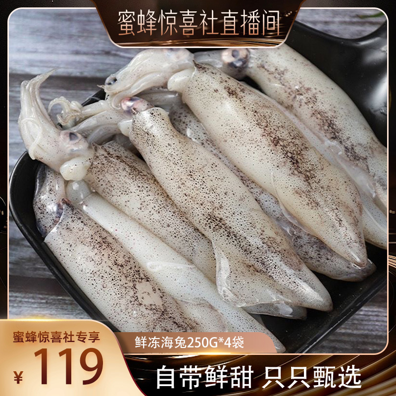 【蜜蜂惊喜社】鲜冻海兔250Gx4袋鲜活速冻笔管鱼墨鱼小鱿鱼海鲜