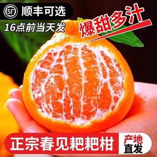 包邮 年货节 整箱新鲜水果丑柑桔 四川春见耙耙柑粑粑柑10斤甜当季