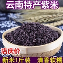 新米紫米云南墨江紫糯米黑糯粽子米饭团材料正宗500g杂粮米血糯米