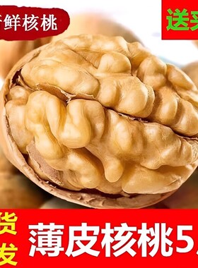 精选特价新疆薄皮核桃坚果生大核桃原味185纸皮核桃生核桃仁坚果