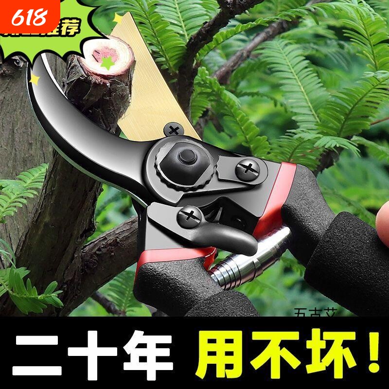 树枝剪刀修剪强力修枝剪刀园林花枝剪子园艺粗枝剪枝花卉高硬度