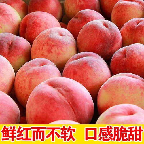 水蜜桃新鲜桃子水果毛桃香软当季现摘现发脆甜多汁孕妇儿童整箱