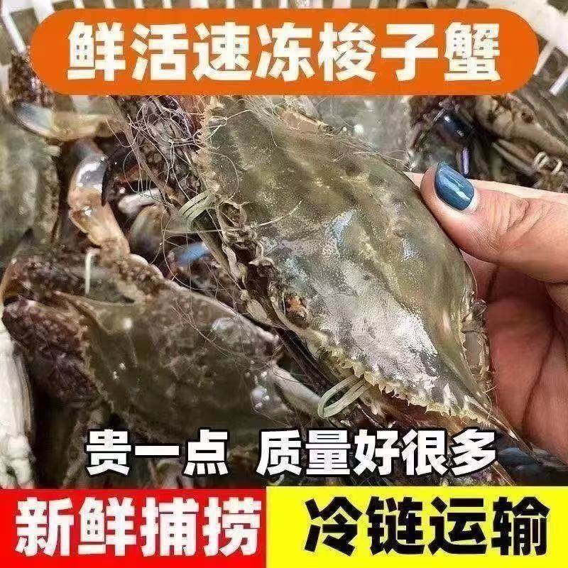 新鲜活冻梭子蟹螃蟹冷冻水产海鲜大白蟹海蟹商用批发生鲜野生海捕,水产肉类/新鲜蔬果/熟食,梭子蟹,淘宝优惠券,粉丝福利购,淘宝优惠卷
