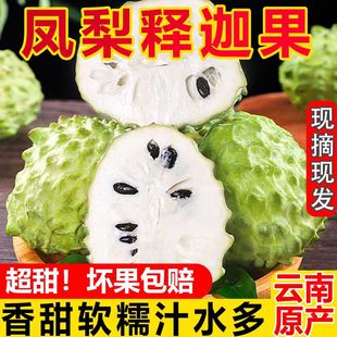 牛奶凤梨迦果新水林枝头尼果南3释斤鲜现摘果檎大番荔佛摩海