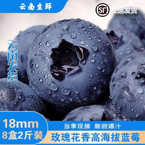 云南高山花香蓝莓脆甜汁多