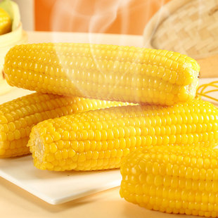 绿色有机认证五寨黄糯玉米真空低脂早餐非转基因老人儿童粗粮