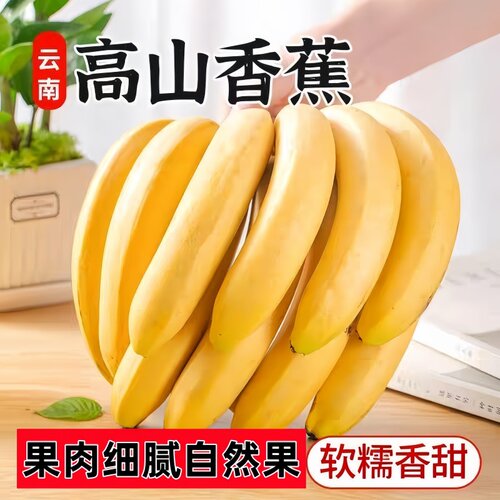 高山大香蕉当季新鲜水果青皮香蕉现摘香甜需催熟甜蕉甜包邮