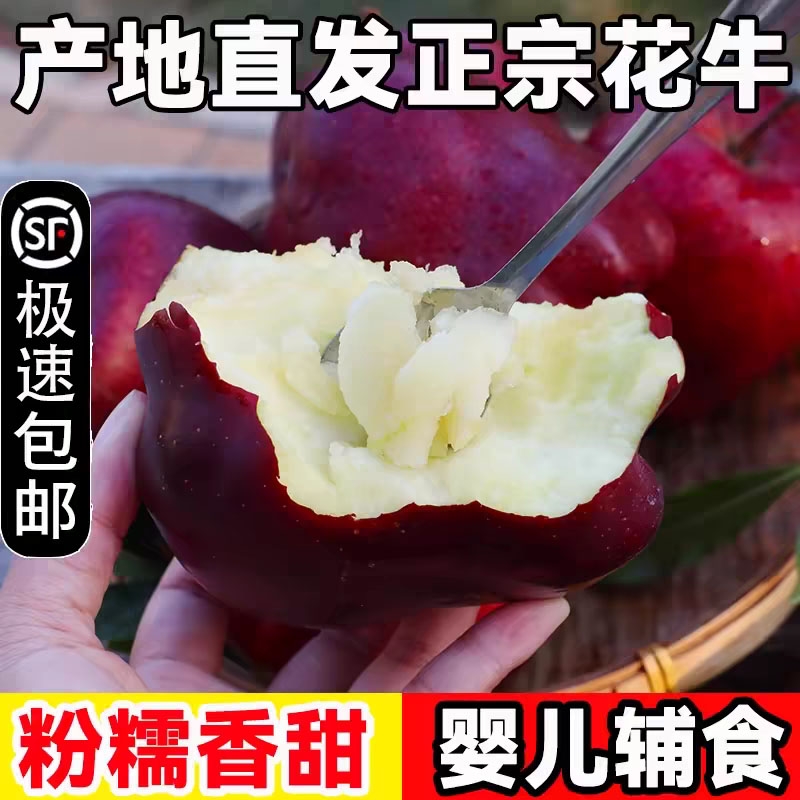 正宗天水花牛苹果水果蛇红果小孩老人面粉脆沙甜苹果新鲜水果5斤