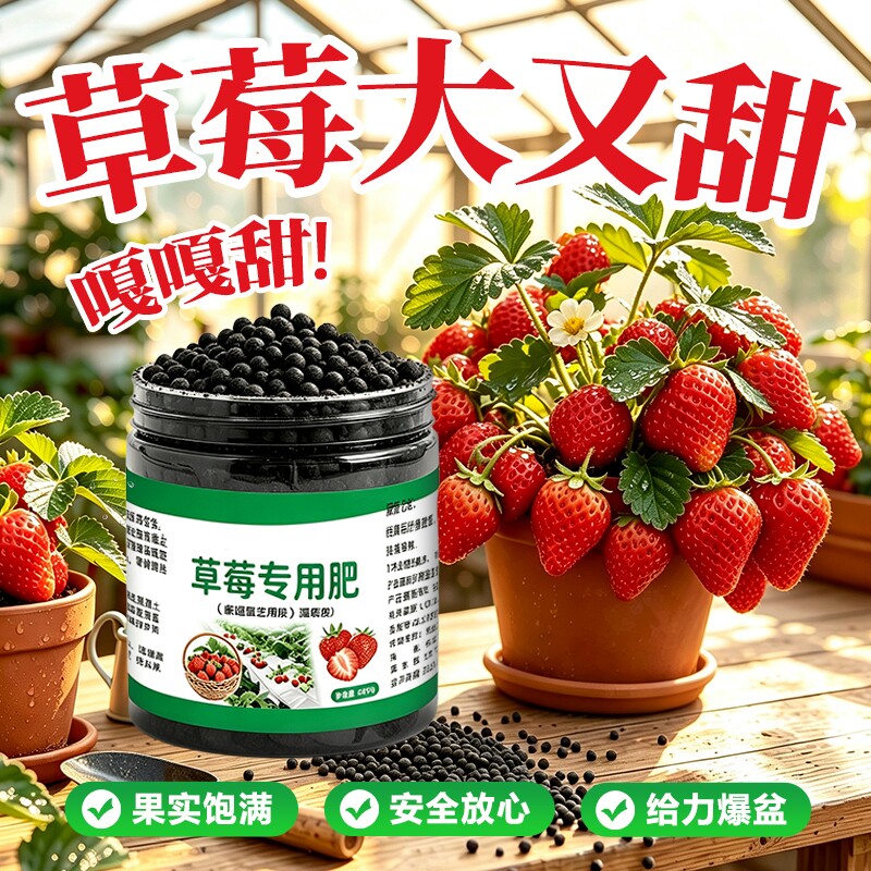 草莓专用肥肥料盆栽阳台绿植营养液通用型促开花植物园艺土壤对比