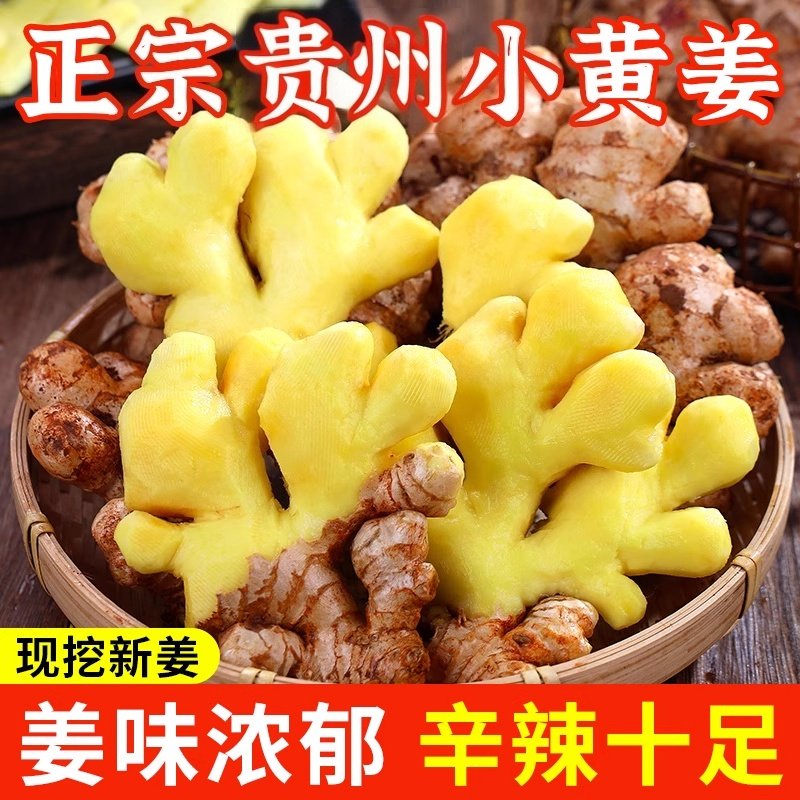正宗贵州新鲜小黄姜生姜干老姜嫩姜土姜子姜现挖高山沙姜蔬菜新姜