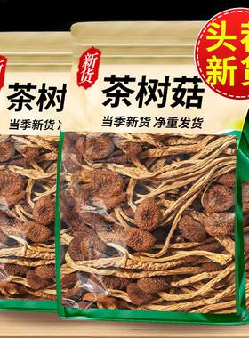 净重发货不开伞茶树菇500g批发农家特产干货新货煲汤新鲜250g香菇