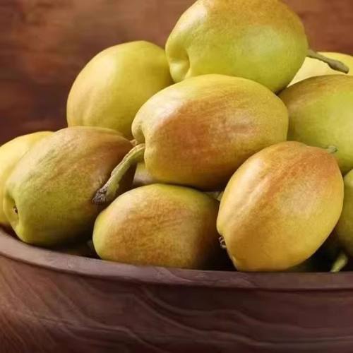 新疆库尔勒香梨全母梨子新鲜孕妇水果国家地理标志产品