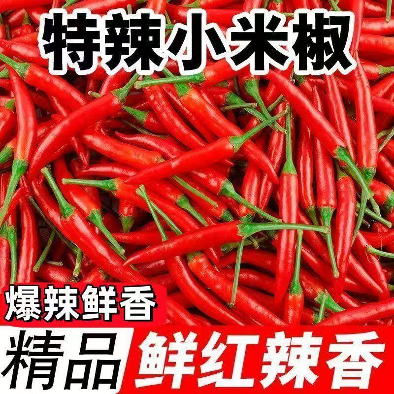 正宗小米椒新鲜小米辣山东朝天椒蔬菜泡椒特辣炒菜料辣椒酱现摘