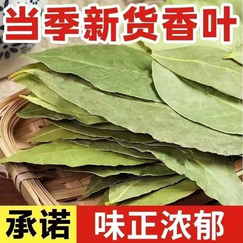 精选特级正宗一等品头茬香叶新货广西调味品炒菜香料炖肉卤料大料,粮油调味/速食/干货/烘焙,香辛料/干调类,淘宝优惠券,粉丝福利购,淘宝优惠卷