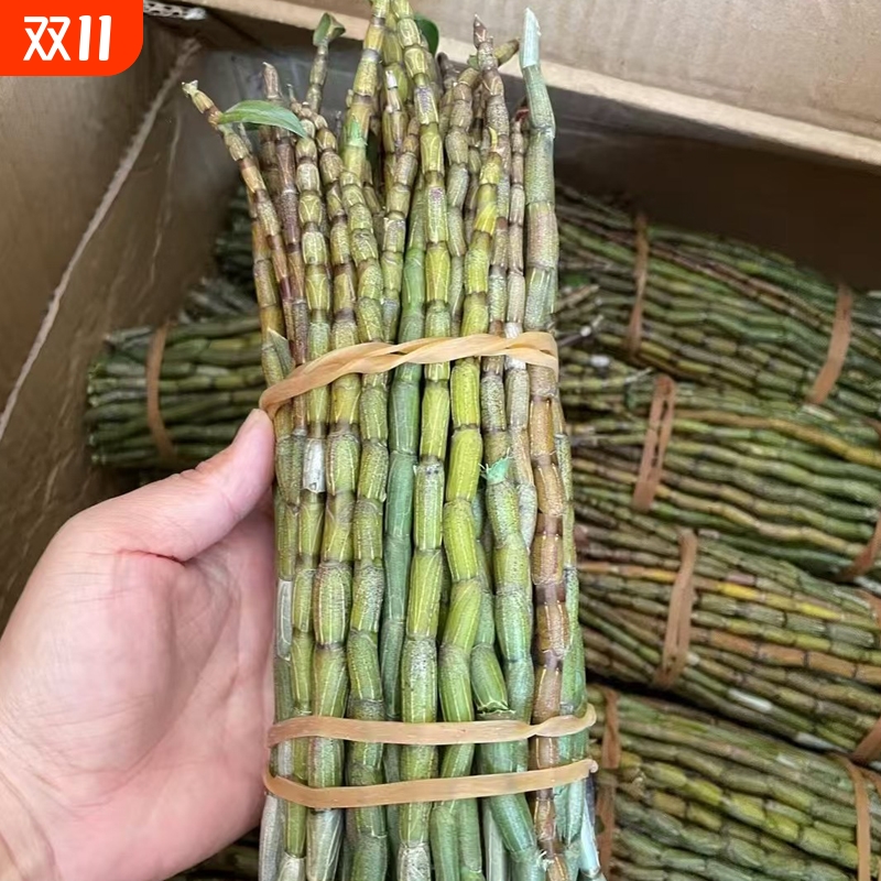 云南新鲜铁皮石斛鲜条食用滋补仿野生种植2-7年生现剪现发