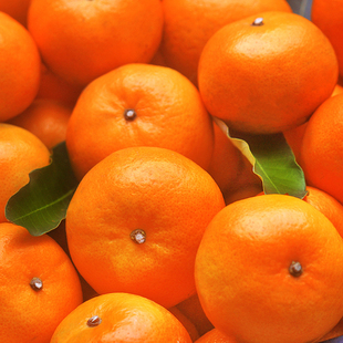 云南高山沃柑当季 新鲜水果手剥桔子甜润多汁薄皮现货