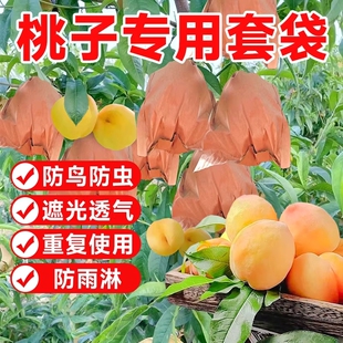 桃子套袋专用袋水果防鸟防虫神器水蜜桃黄桃梨子专用网袋纸袋果子