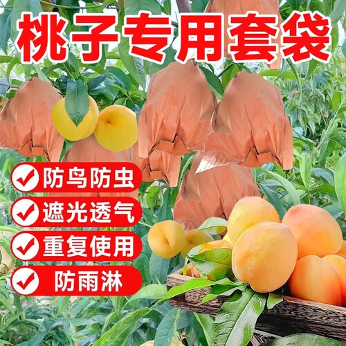 桃子套袋专用袋水果防鸟防虫神器水蜜桃黄桃梨子专用网袋纸袋果子
