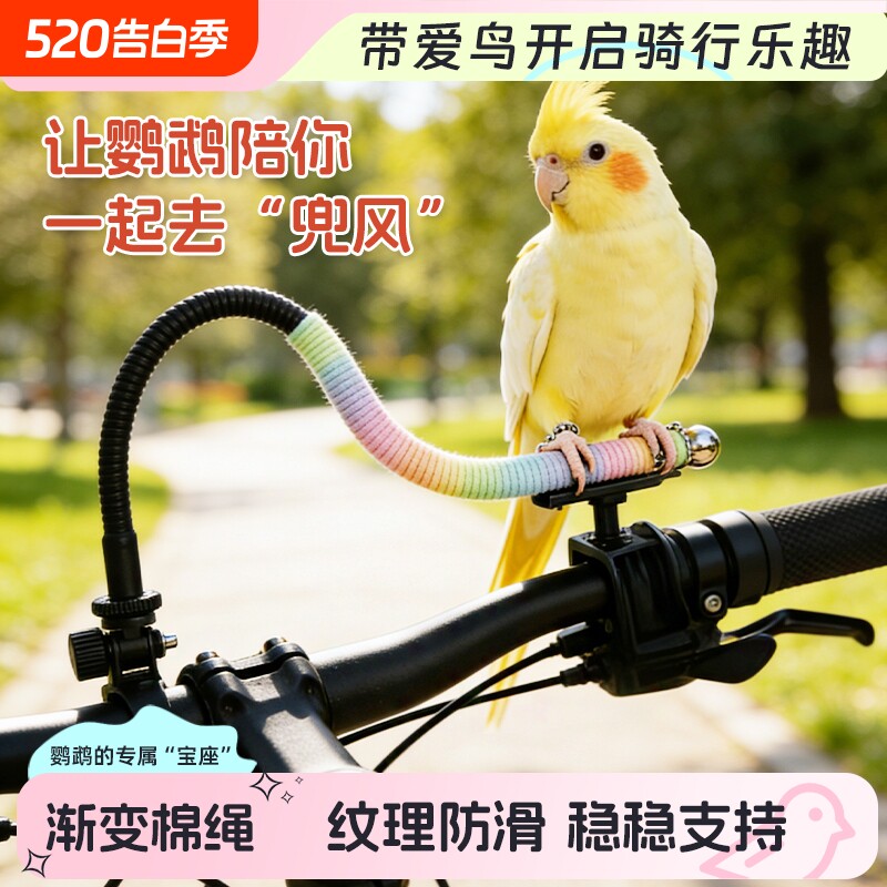 鹦鹉骑行遛鸟支架玄凤牡丹通用自行车电动车扩展站架金属防飞稳固