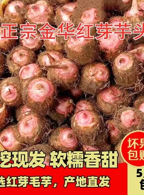 浙江金华红芽芋头现挖粉糯毛芋艿香芋子非广西荔浦新鲜小芋头蔬菜