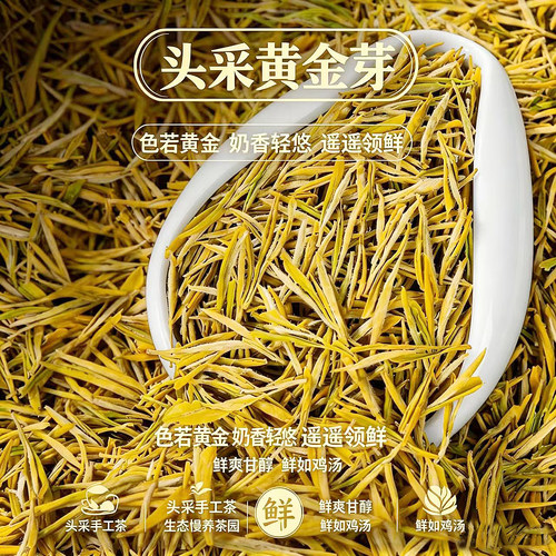 明前特级黄金芽2026新茶嫩芽正宗安吉珍稀白茶树茶叶自己喝绿茶