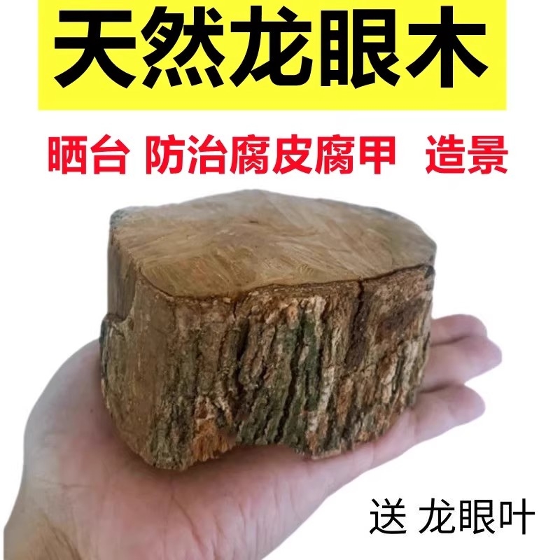 养乌龟专用缸龙眼木晒台爬坡躲避窝净化水质造景摆件用品龙眼叶子