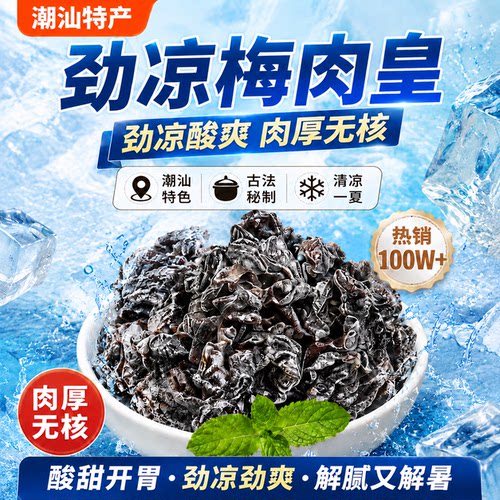 劲凉梅肉皇潮汕无核九制梅肉果脯