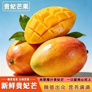新鲜贵妃芒现摘云南贵妃芒果新鲜水果当季热带红金龙甜心芒整箱
