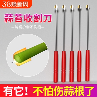 打蒜苔刀神器抽蒜苔的工具蒜薹蒜台剥拔刮划蒜薹神器蒜苗收割刀